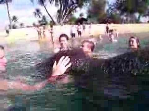 Jumbo: Baby Elephant swimming in the Ocean (Underwater shot)