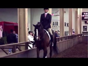 2012 Grand National & World Championship Morgan Horse Show at State Fair Park in Oklahoma City