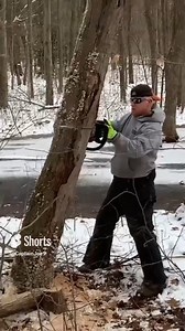 283K views · 752 reactions | In this #shorts firewood video my helper Zach uses his new Craftsman chainsaw and with Mike's guidance he fells a standing dead silver maple tree that he just hung up. Herre's the link to the full version video: https://www.facebook.com/JoesPremiumFirewood/videos/161610918901648/ | Joe's Premium Firewood | Facebook