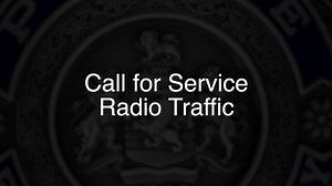 8.3K views · 145 reactions | Fairfax County Police Department's statement about a brandishing call for service that occurred on Saturday, July 9, 2022. | Fairfax County Police Department | Facebook