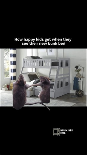 Nothing like seeing a happy surprise new bunk bed set up in your room to make a great childhood memory! Visit our website at www.BunkBedHub.ca or click the link in our bio for our collection. #bunkbeds #kidsbed #toronto #furniture #parenting #parents #bunkbedstoronto #kidsfurniture #kidsbed | Bunk Bed Hub