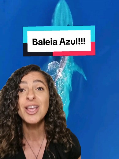 Baleia-azul: Gigante dos mares e suas curiosidades