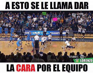 Literalmente :v Síguenos: El Loro Lorenzo Créditos: Studio C | El Loro Lorenzo