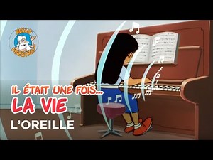 Il était une fois… la Vie 🌱- L'oreille 👂