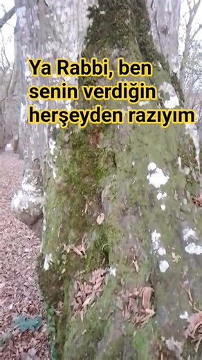 Allah'ın Rızasını almak #amin#dua#razıolmak #allah