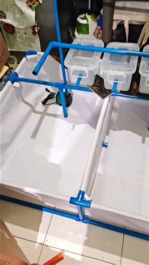 11K views · 116 reactions | 8x3x1ft with 3 partition 6pcs hatchery and filtration system.. New design..  | Ryan Zafra | Facebook