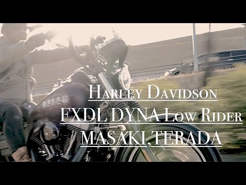 ハーレーダビッドソン走行動画 (MASAKI.TERADA) FXDL DYNA LOW RIDER‼️