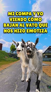 pa qué me hace emote 🥲 #cod #codm #codmobile #gamer #reelschallenge | Raxedd