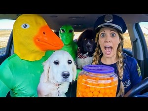Rubber Ducky STEALS From Puppy and Police! Alien Car Ride Chase!
