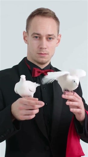 Dove Facts You Won't Believe! 🕊️ (Symbols of Peace Secrets)