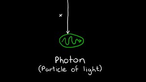 Heisenberg's Uncertainty Principle Explained on Make a GIF