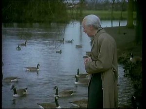 The Fast Show - Unlucky Alf 8 Geese