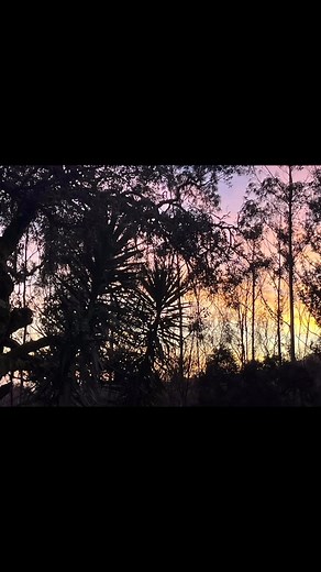 Maria João on Reels