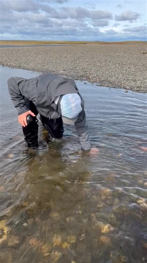 Every fish landed in fresh water was released. On the ocean, though, we become hunters searching for delicious tuna and swordfish. | Dave Schultz