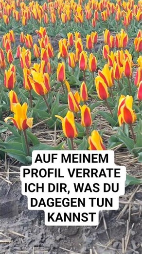 Du denkst, du bist entspannt…#kieferschmerzen #zähneknirschen #verspannungen #nackenschmerzen