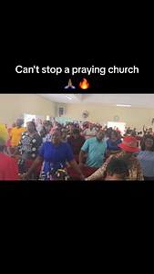 491 reactions · 65 shares | Peter Calvert on Reels | Facebook