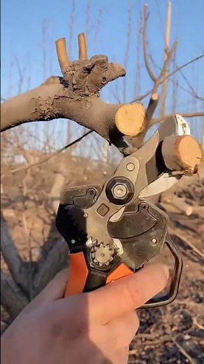TimberTech Pro: The Ultimate Tree-Cutting Gadget for Modern Lumberjacks