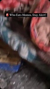 Jammuinlast24hour on Instagram: "🚨 Who Eats Momos, Stay Alert! In Mohali’s Mataur, a raid on a momo & spring roll factory revealed shocking visuals - Food stored in bathrooms, low quality ingredients found. A tomcat or dog’s head found. Health dept investigating. Think twice before eating street momos! #foodsafety #hygiene #momos #jammukashmir #jammu"