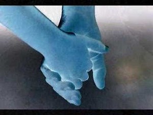 Where Do The Children Go Lyrics by Hooters