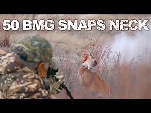 50CAL rifle SNAPS DEER'S NECK