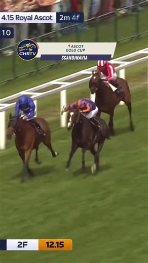 SCANDINAVIA🥊chased down TRAWLERMAN to win the Gold Cup at Royal Ascot😎🏆👌🏻🥇👏🏻