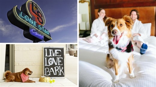 Your travel guide to finding pet-friendly hotels in Austin, Texas 🐾