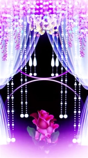 Salma Akter Borna (@salma.akter.borna)’s videos with original sound - Shahid Aly Official