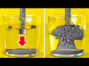 27 Insanely Cool Experiments