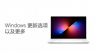 自定义更新Windows的方式