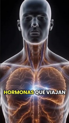 ¿Conocías el sistema endocrino? 🤔💭🧠