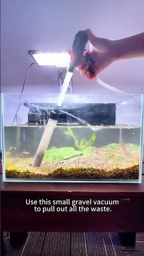 Easy fish tank gravel cleaning with Seaoura SR-527 #seaoura #aquarium #aquariumcleaning