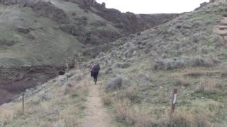 Come one, come all, to run, jog, or walk in the inaugural National Wildland Firefighter Day Fireline 5K! Join the wildland fire community, on June 2 for this FREE event and enjoy the 3.1-mile course that runs along the Boise Greenbelt from Ann Morrison Park to the Broadway Bridge! Visit the NWFFD webpage to register at https://www.nifc.gov/nwffd Can’t make the in-person event, then grab your friends, and participate in the virtual option starting June 2 and counting down to NWFFD on July 2! Make