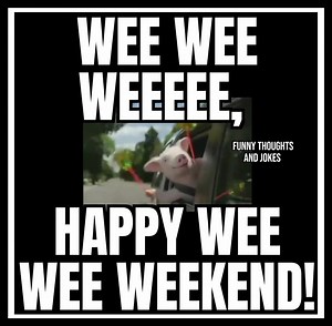 Happy Weekend! 🙂 | Funny thoughts and jokes.