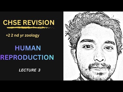 Human Reproduction Revision CHSE+2 2 nd yr zoology| B ed entrance| OUAT