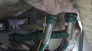 clip-3462868115-cow-milking-system-atomatiс-dairy-robot-cows