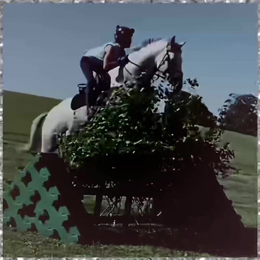 Cute Horse Riding Clips Featuring Harlow and Friends