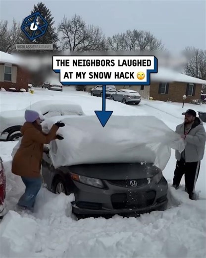 This hack protected my car from the snow storm 🚙❄️ #cars #snow #lifehacks