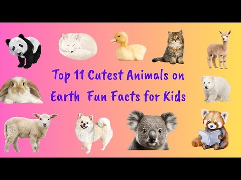 Top 11 Cutest Animals on Earth Fun Facts for Kids
