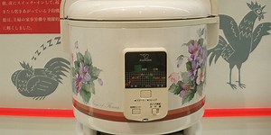 The Consumer Electronics Hall of Fame: Zojirushi Micom Electric Rice Cooker/Warmer