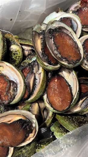 Rich, rare, and straight from the ocean 🌊 Abalone — slow growing, wild harvested, and pure luxury on the plate.