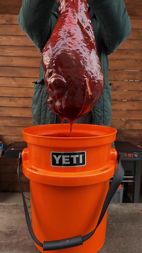 Smoked Ostrich Leg on Traeger Grill with Meater