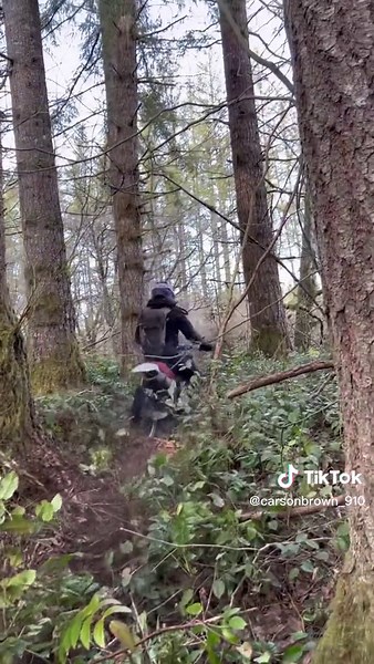 Exploring the Woods on a 1997 Honda XR200