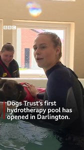 Dogs Trust has reopened its rehoming centre in Darlington, which staff are calling a "five star hotel for neglected dogs" 🐶❤️️ The renovation includes the trust's first hydrotherapy pool in the country, which will help pups on their journey to finding their forever home. https://bbc.in/3svntxb@ | BBC North East