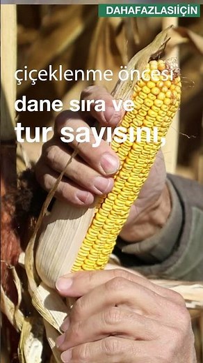 KWS ile #DahaFazlasıİçin