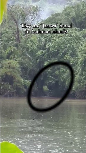 First-Ever Footage of the Jarawa Tribe: A Glimpse into the Ancient World