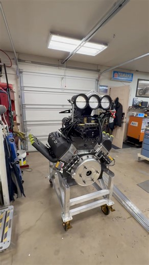 David Warring on Reels