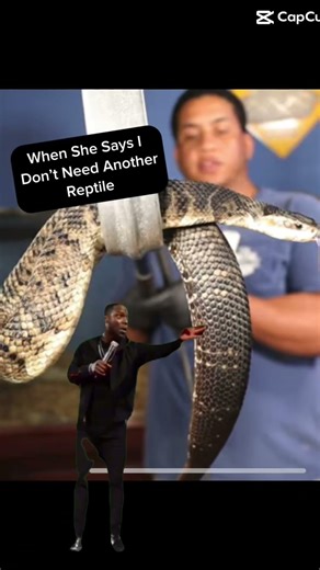 When She Says I Don’t Need Another Reptile! #reptiles