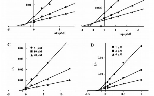 利用prism绘制dixon plot图，Ki值求解