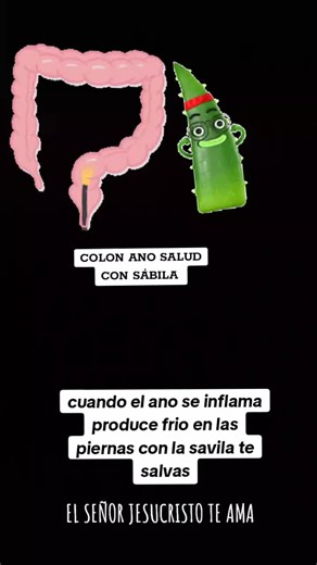 Sábila para el Colon: Remedios y Bienestar