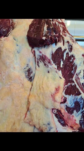 Raw Beef Close-Up: Texture and Marbling Explained
